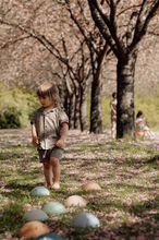 Last inn bildet i Galleri-visningsprogrammet, Balanselek i natur med sensoriske stein